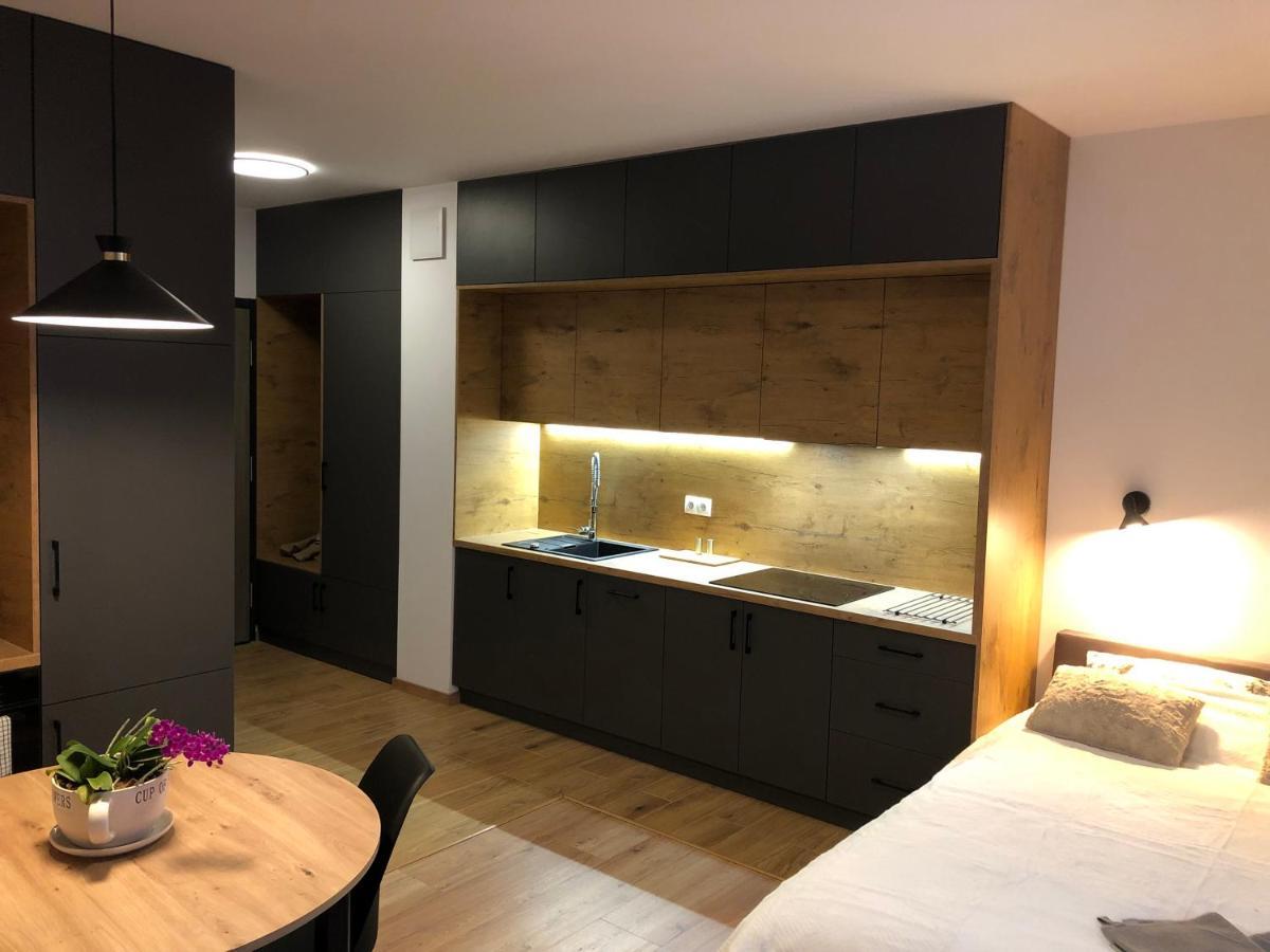 Apartament Chopina Ломянкі Екстер'єр фото